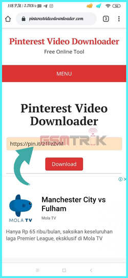 2 Paste Link Video Pinterest Downloader