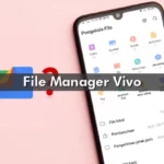 File Manager Vivo